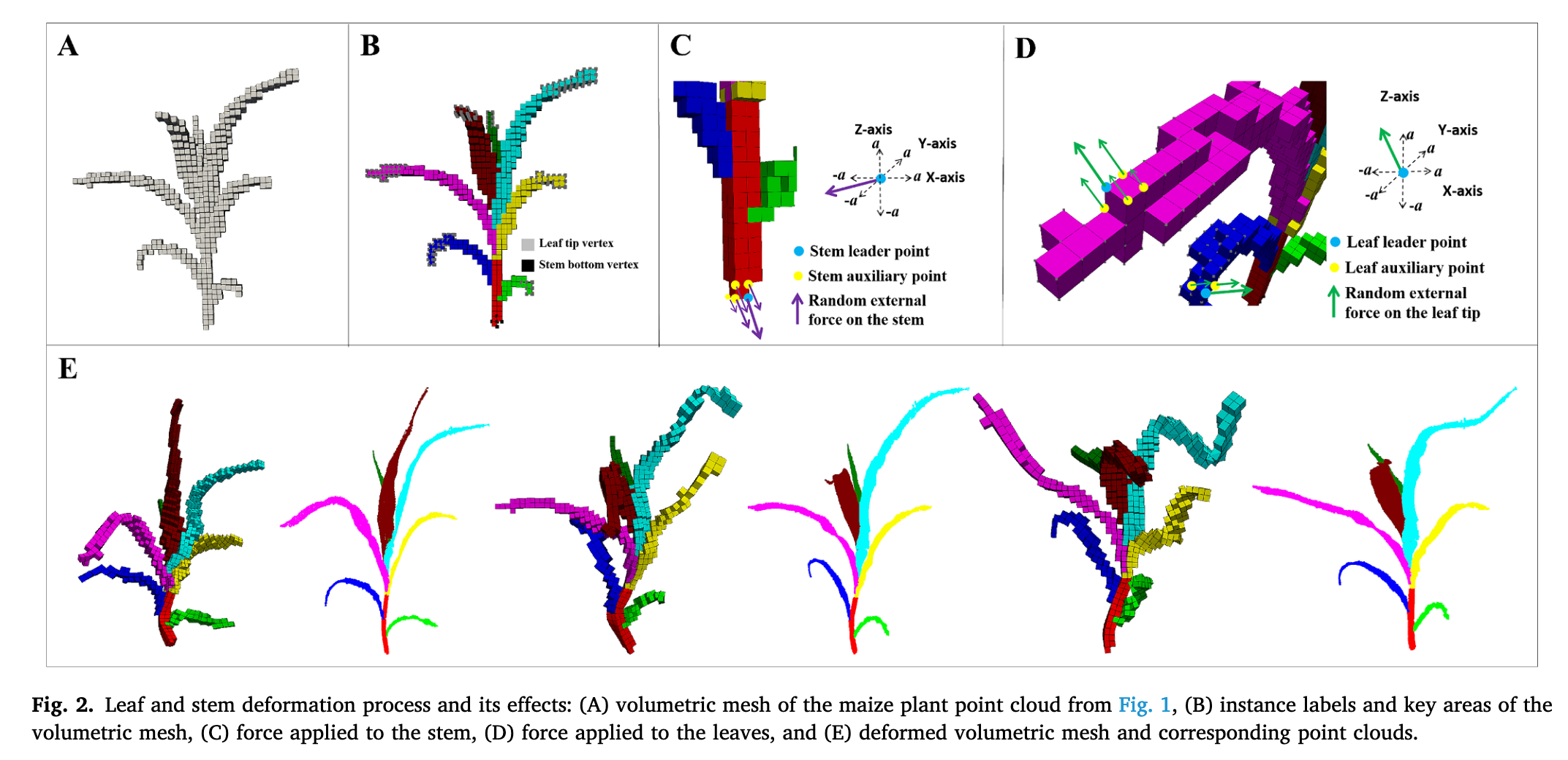 Maize Stem--Leaf Segmentation Framework Based on Deformable Point Clouds