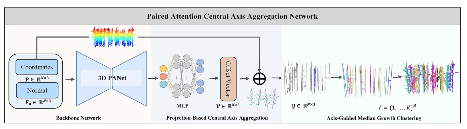 PACANet: A Paired-Attention Central Axis Aggregation Network for Plant Population Point Cloud Segmentation and Phenotypic Trait Extraction---A Case Study on Maize